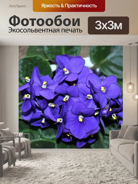 Фотообои Синие африканские фиолетовые цветы