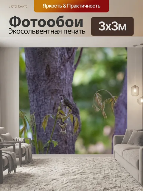 Фотообои Анна Колибри на дереве