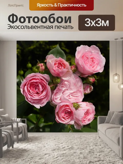 Фотообои Кустовая роза