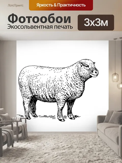 Фотообои Овцы Иллюстрация Клипарт