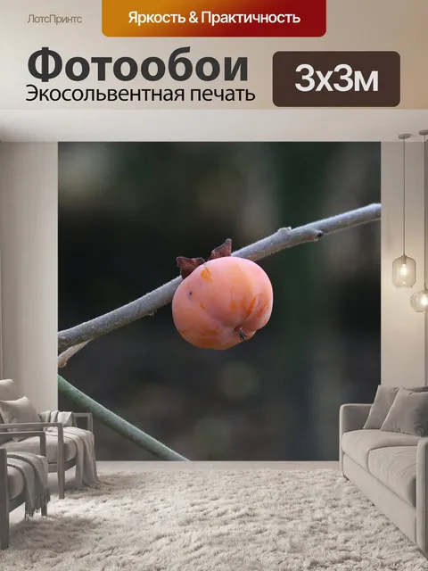 Фотообои Цвет хаки