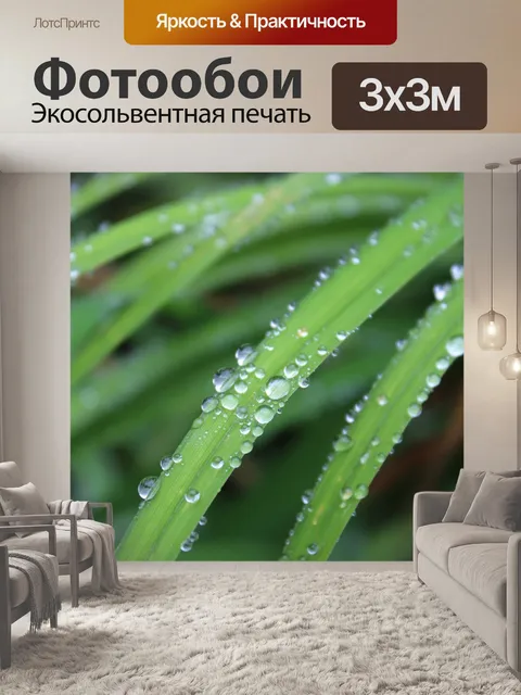 Фотообои Трава
