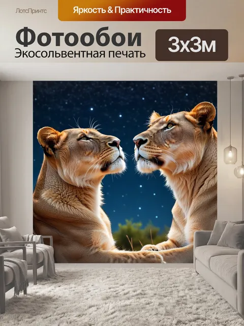 Фотообои львица, смотрящая на звёздное небо ночью