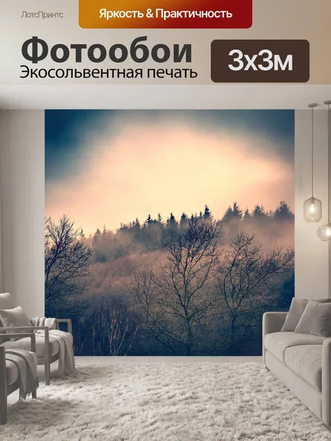 Фотообои Туманный лес