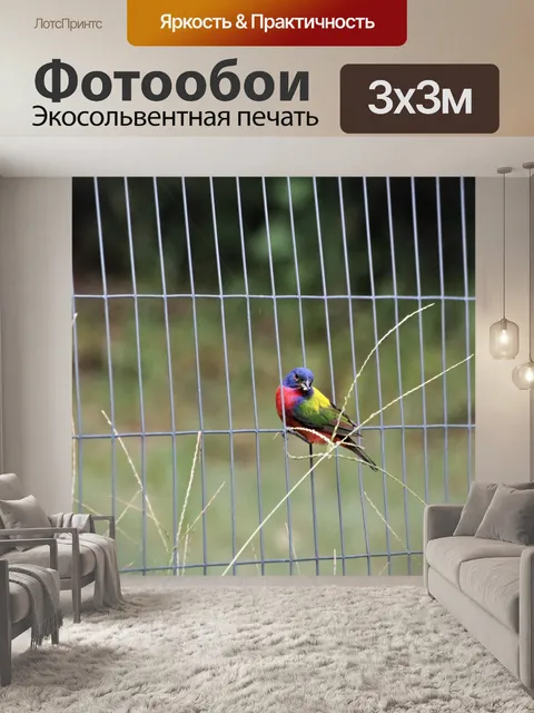 Фотообои Окрашенная овсянка на заборе 2