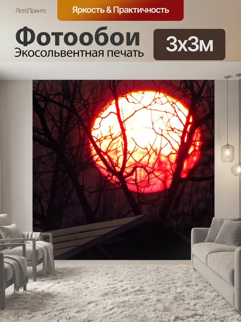Фотообои Солнце