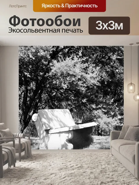 Фотообои Скамейка под деревом в черный и белый