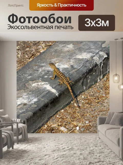 Фотообои Ящерица