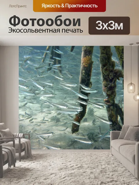Фотообои Рыбы