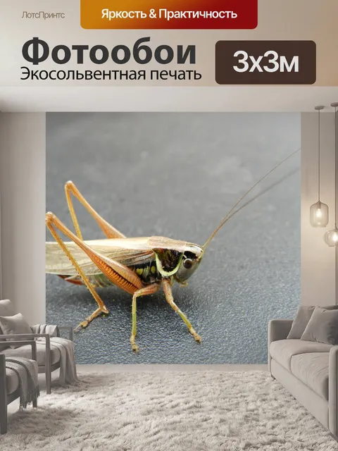 Фотообои Roesel Буш-Крикет 1