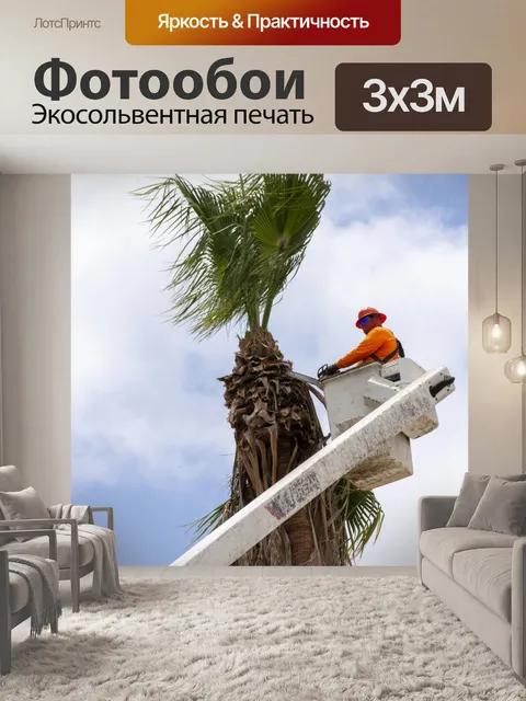 Фотообои обрезка пальмы