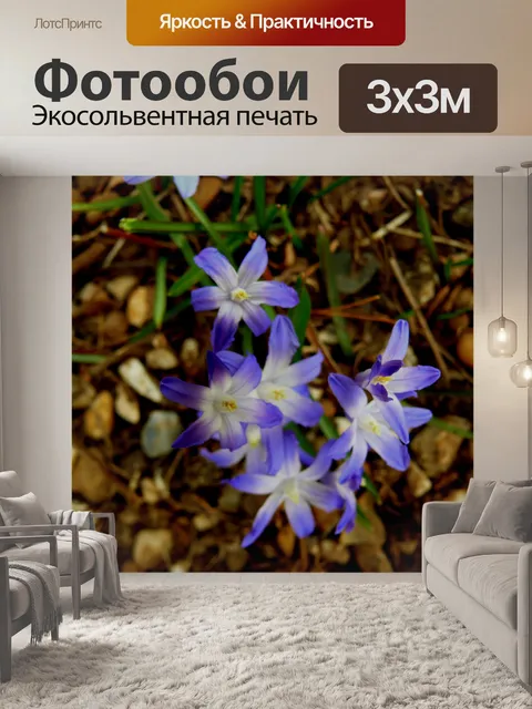 Фотообои Пурпурный flowers