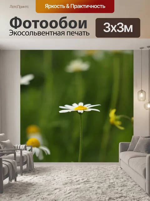 Фотообои Цветы