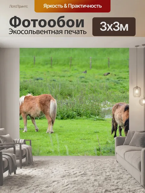Фотообои Лошади и ферма пони
