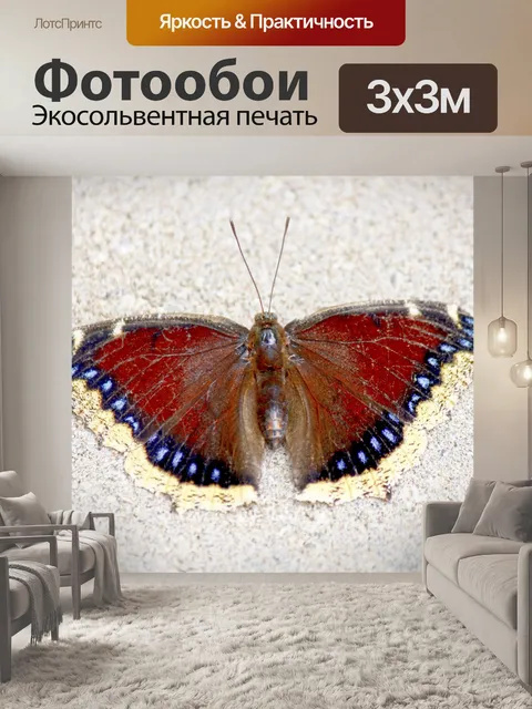 Фотообои Поглощая Бабочка минералы