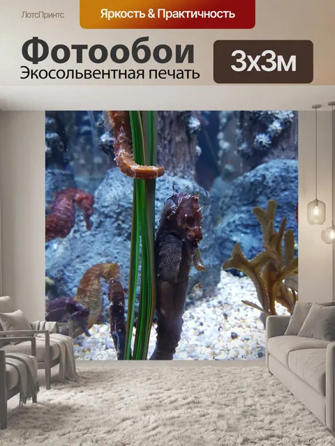 Фотообои Морской конек