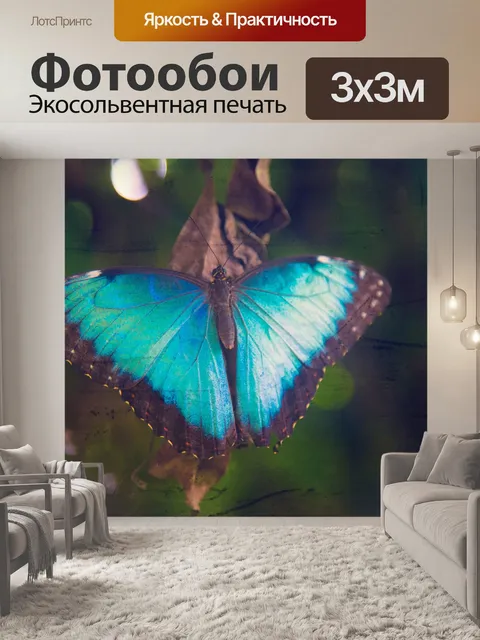 Фотообои бабочка