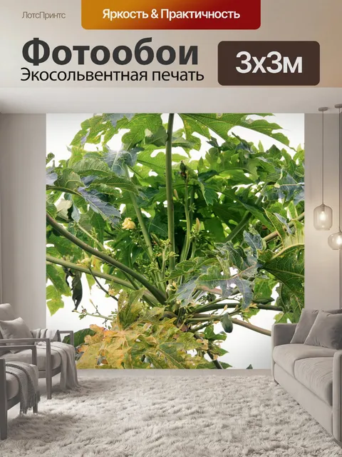 Фотообои Субтропический папайя дерево