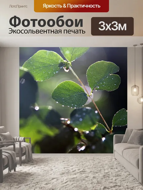 Фотообои Дерево