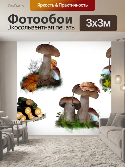 Фотообои Грибы