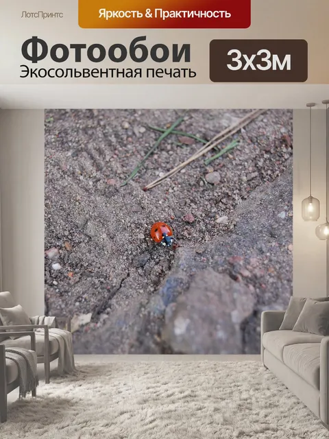 Фотообои Божья коровка