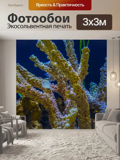 Фотообои Цветной фон рифа
