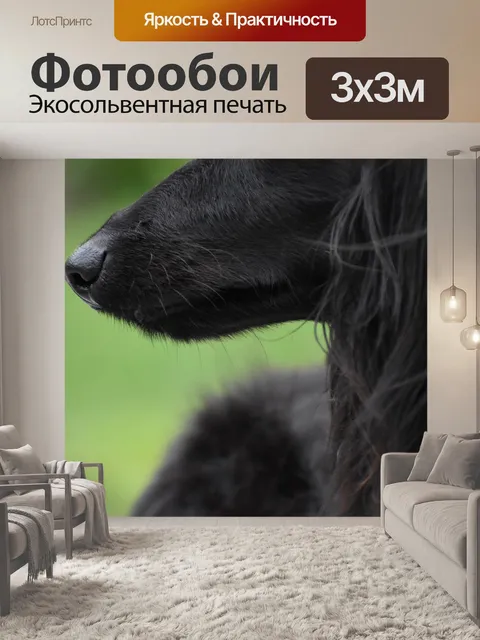 Фотообои Собака
