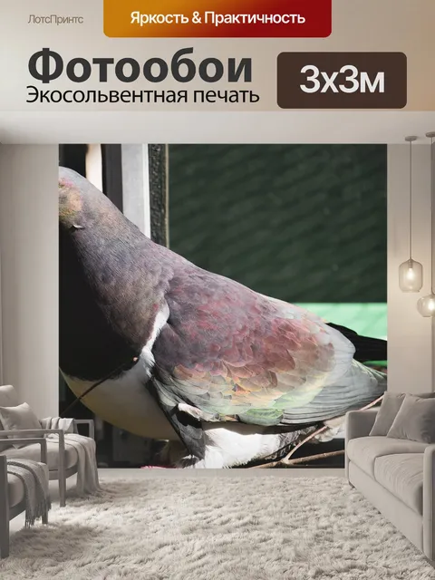 Фотообои Новая зеландия