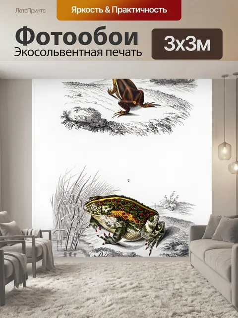 Фотообои Лягушка рептилия старинное искусство