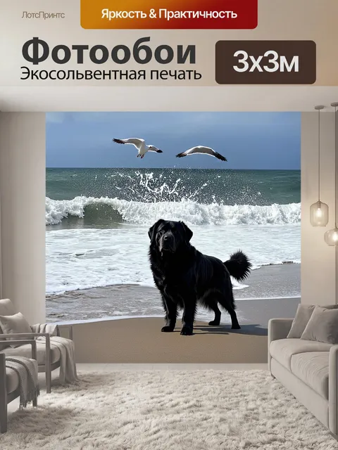 Фотообои ньюфаундленд, стоящий на берегу океана, смотрит на волны, накатывающиеся на песок