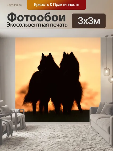 Фотообои Заход солнца