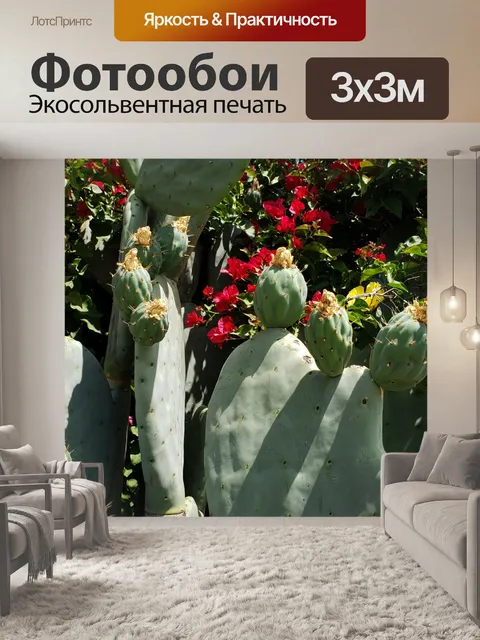 Фотообои Бугенвиллия и Кактус