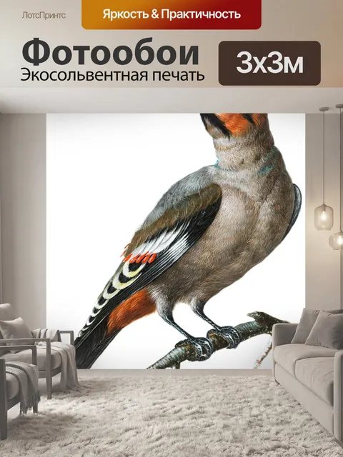 Фотообои Дятел на ветке