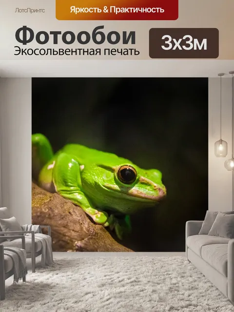 Фотообои Китайская летающая лягушка