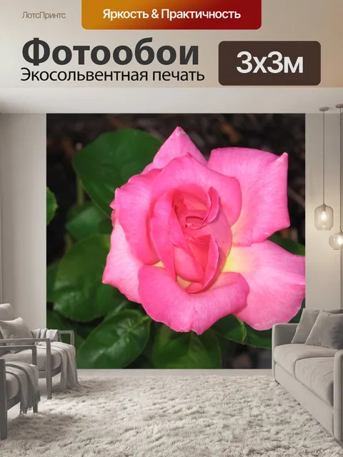 Фотообои Розовый