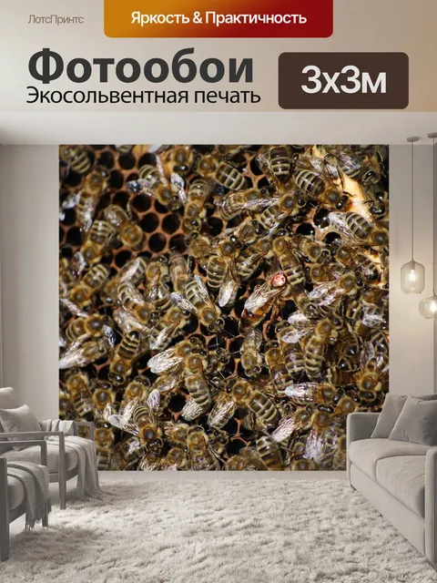Фотообои Пчелы
