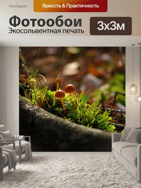 Фотообои Осень