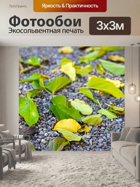 Фотообои Осенние листья