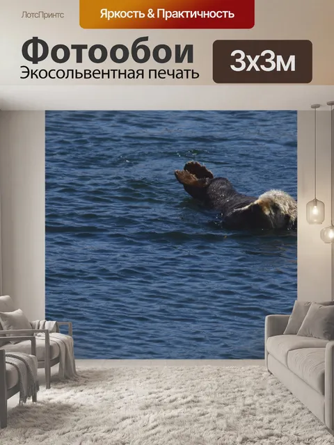 Фотообои Морская выдра