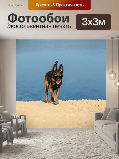 Фотообои Малинуа