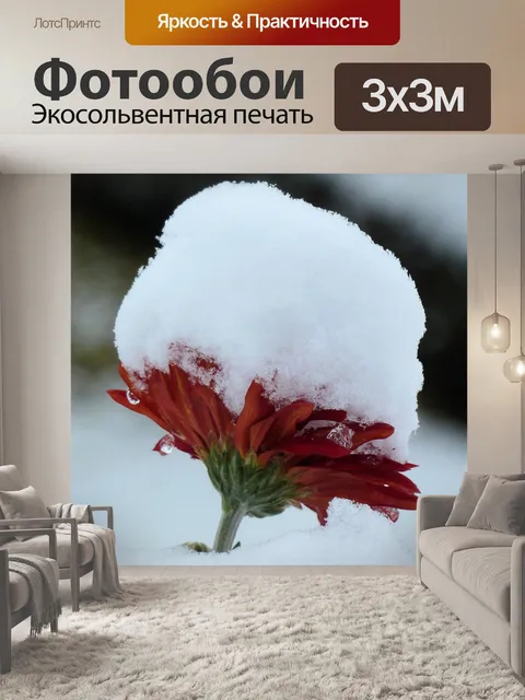 Фотообои Цветок