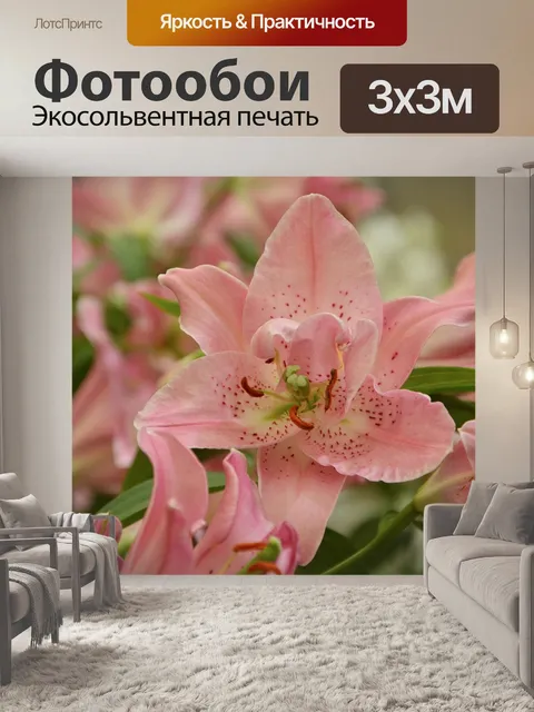 Фотообои Цветы орхидеи розы
