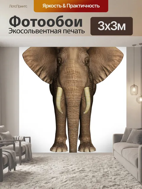 Фотообои Слон