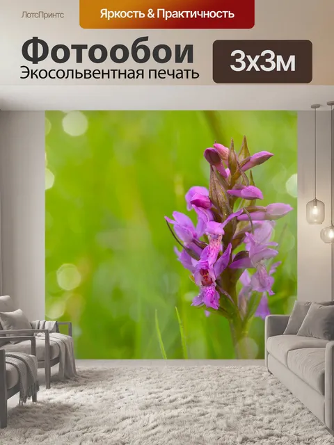 Фотообои Природа