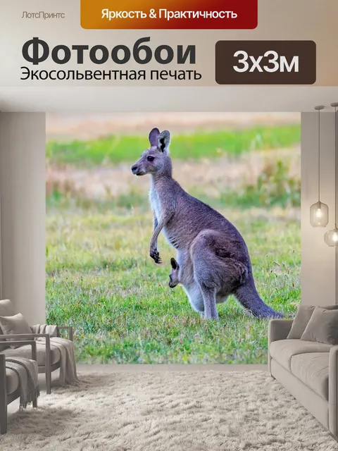 Фотообои Восточно-серый кенгуру