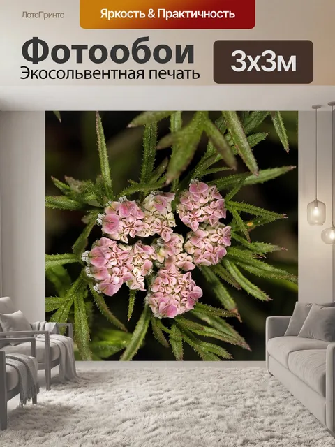 Фотообои Растения