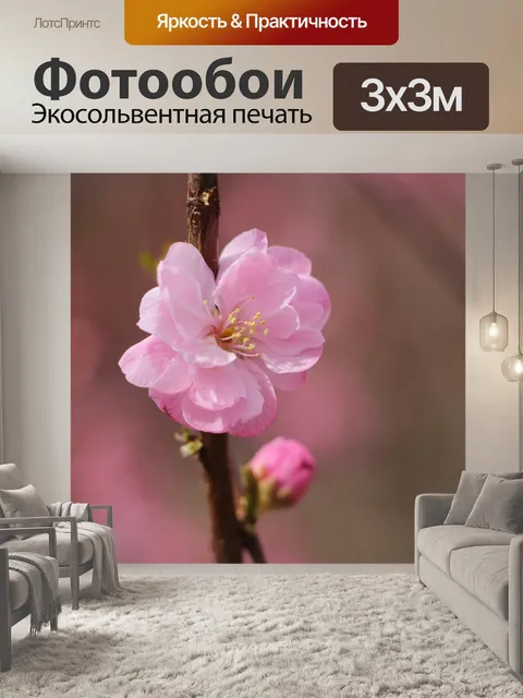 Фотообои Цветение сливы