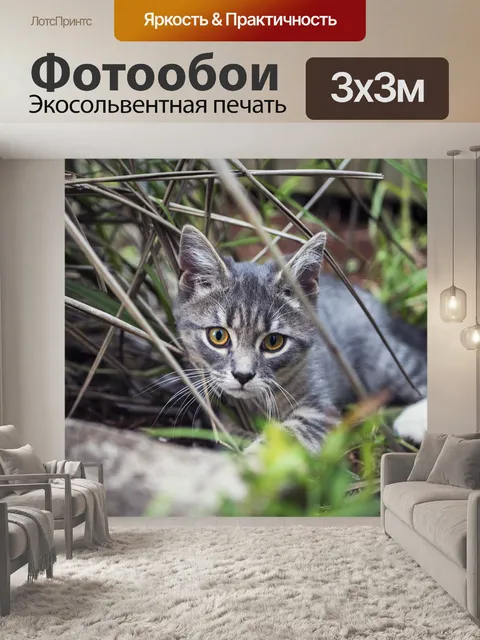 Фотообои Котенок