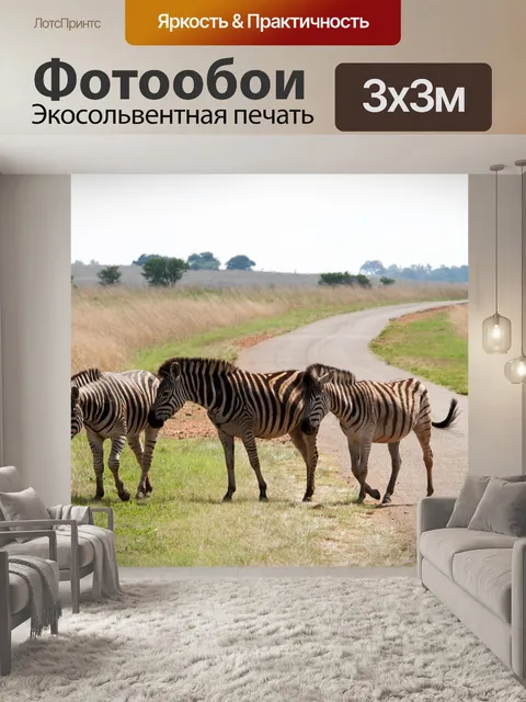 Фотообои группа зебр сходит с дороги