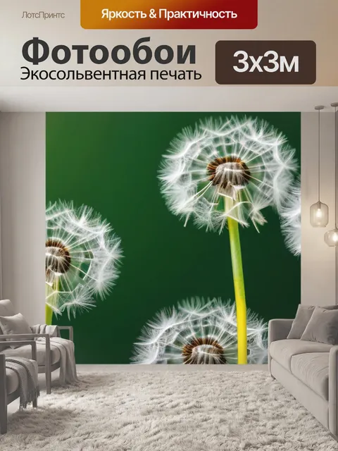 Фотообои с одуванчиками минимал